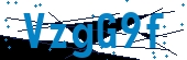 recaptcha
