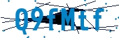 recaptcha