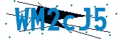 recaptcha