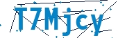 recaptcha